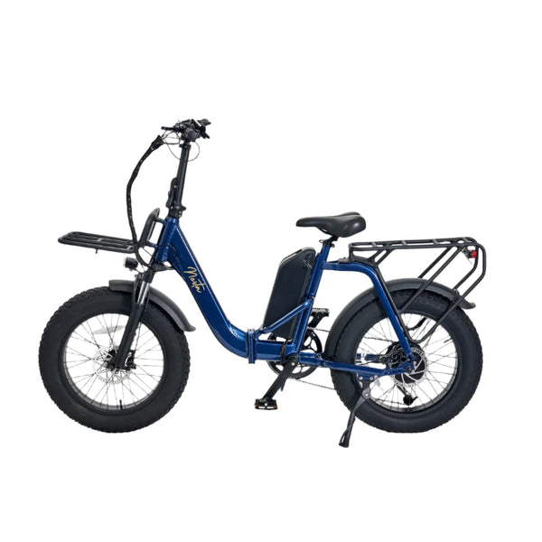 Fat tyre - long range commuter