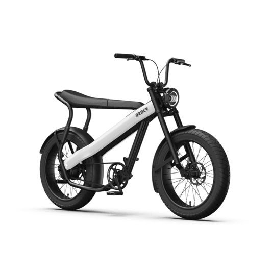 BREKR F250 ELECTRIC BIKE